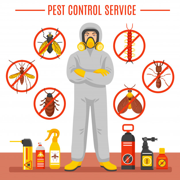 pest control service illustration