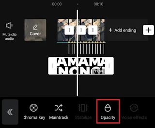 open the opacity menu