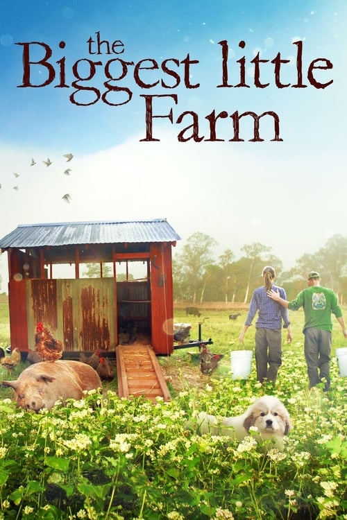 Tout Est Possible Streaming [VF] Tout est possible (The Biggest Little Farm) 2019 Streaming Voix