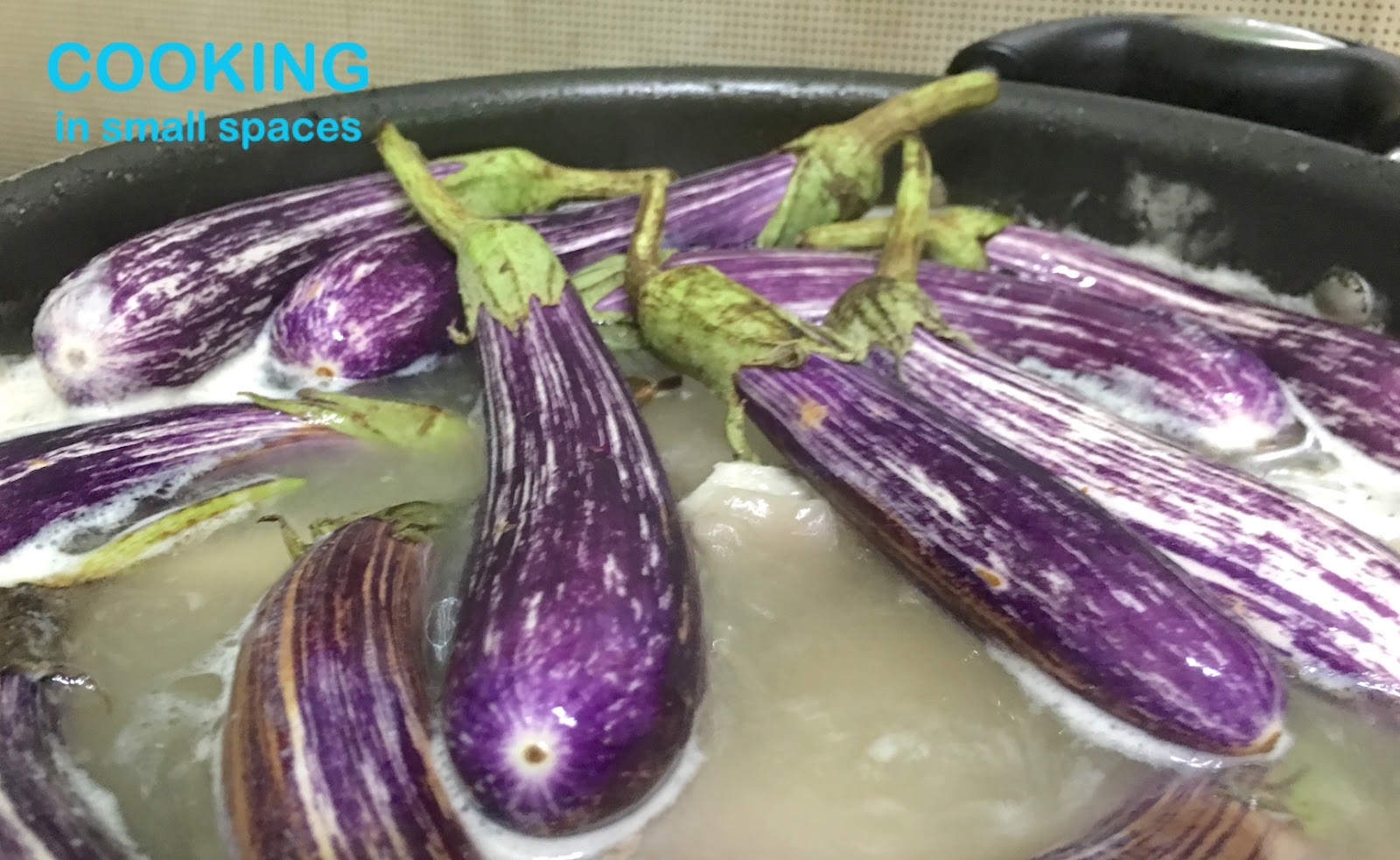Cooking in Small Spaces MEET THE GRAFFITI EGGPLANT
