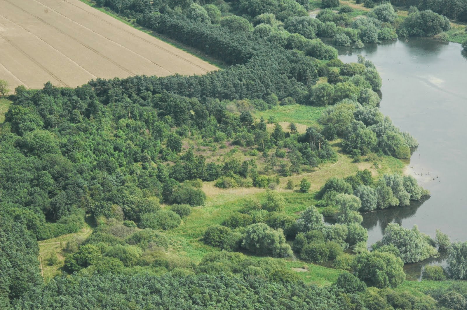 Christies Copse/Walgrave West, Pitsford Res