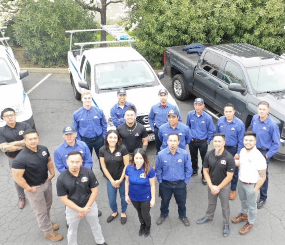 LeTip Of Vacaville Knock 'Em Out Pest Control is Well Versed in