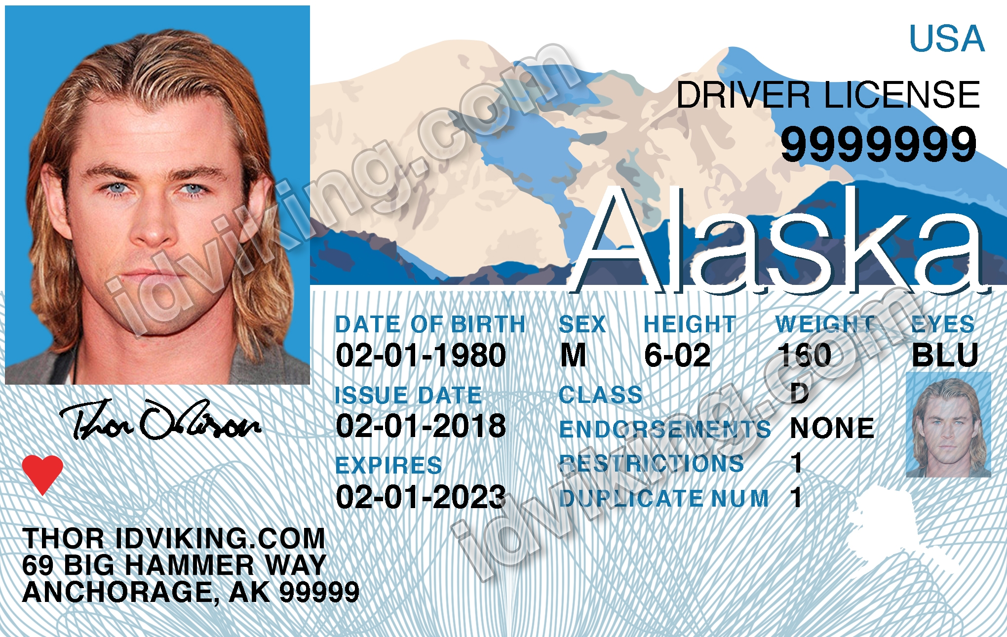 Driving License , ID Cards, Passports, SSN Cards, in or Illustrator
