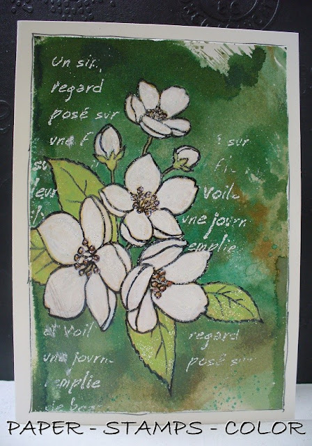 Ramblings Of A Naturalist House Circuit 7 White Flowering Trees