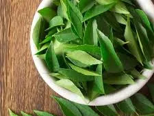 Curry Leaves Health Benefits and Medicinal Uses
