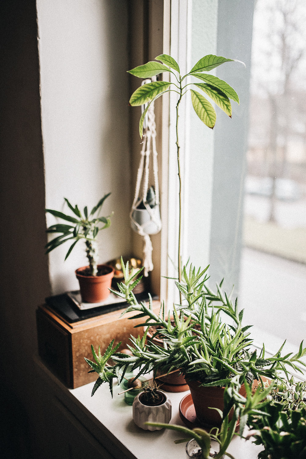 La Casa di Theodora Melnik a Berlino {Decor Inspiration}