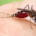 Imparable el dengue en todo el estado de Veracruz: SSA Federal