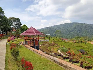 Kebun raya Liwa spot fotonya keren