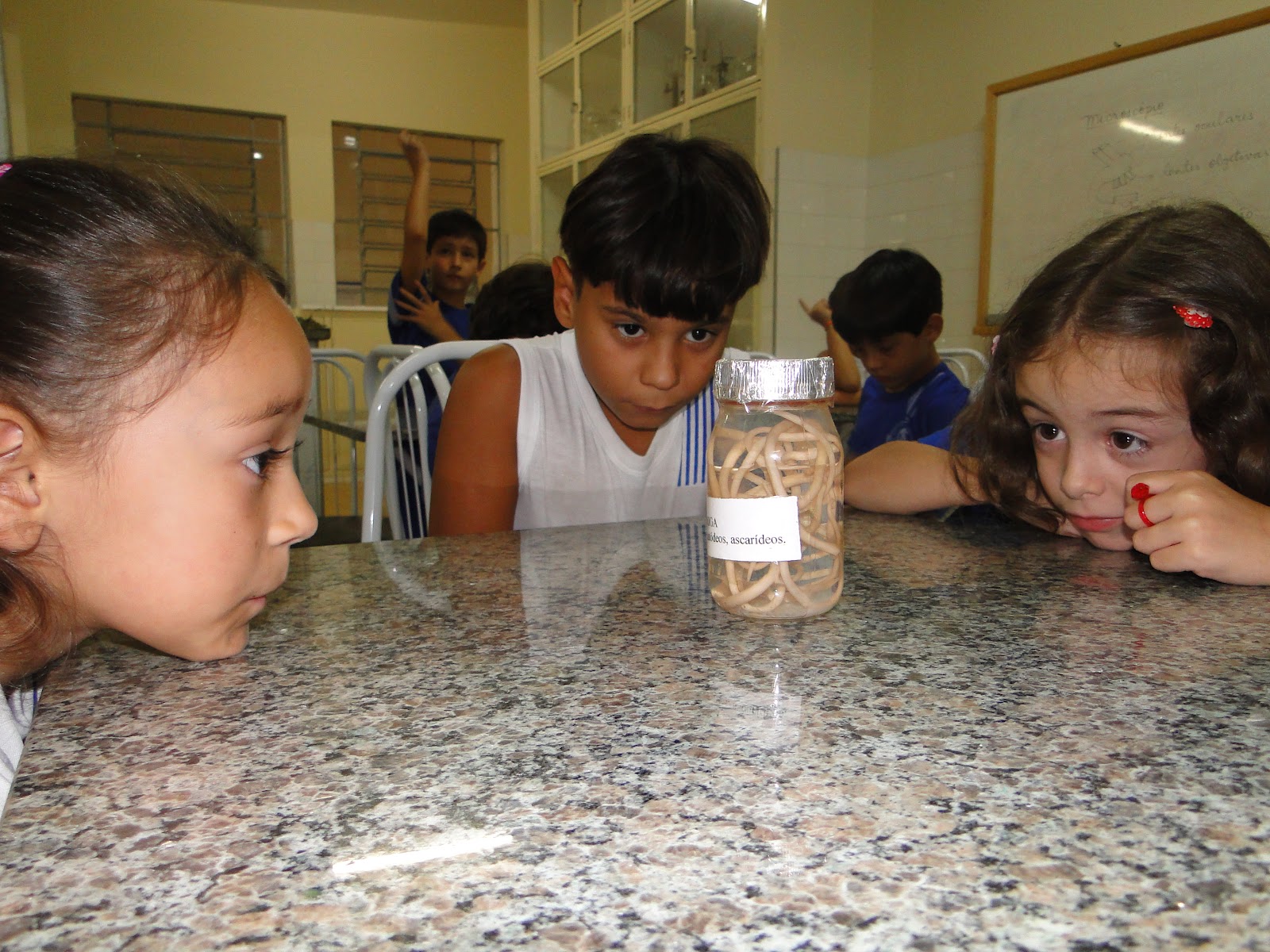 Blog da Professora Terezinha: PROFESSOR DE BIOLOGIA, RODRIGO, ENSINA