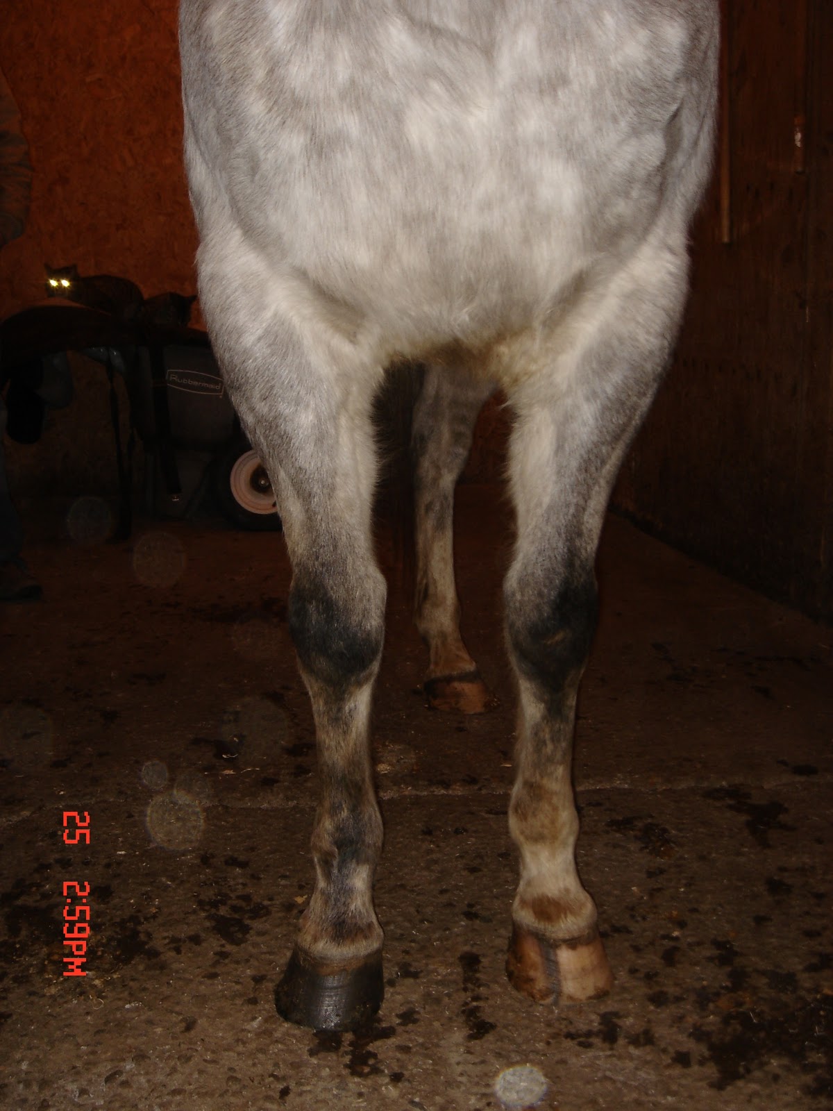 Ian Zoerb: Front view