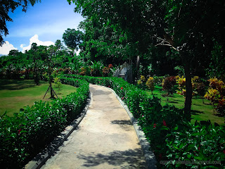 Garden Walkway Landscape Of Hibiscus Rosa-sinensis Plants At Tangguwisia Village, North Bali, Indonesia