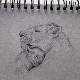 12-Lioness-and-cub-Kleevia-www-designstack-co