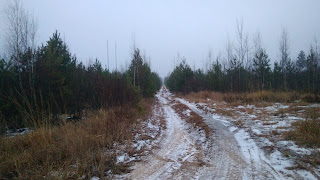 ПВД3Д - Мещёра: Черусти-Спасск Рязанский, через Голованово