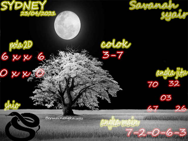 gambar togel sydney
