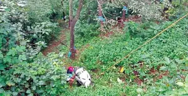News, Kerala, State, Wayanad, Vehicles, Accident, Woman, Travel, Passenger miraculously escaped from the scooter which overturned into the abyss