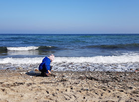 Küsten-Spaziergänge rund um Kiel, Teil 1: Die Steilküste bei Stohl. An den Stränden des Schwedenecks können Kinder super Steine sammeln.