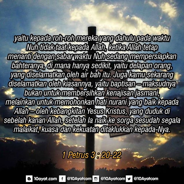 1%2BPetrus%2B3%2B %2B20 22