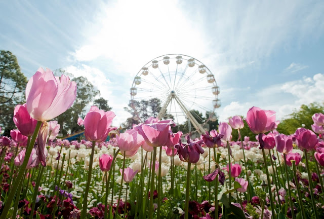 Floriade, Canberra, ACT © VisitCanberra  Floriade, Canberra, Australian Capital Territory