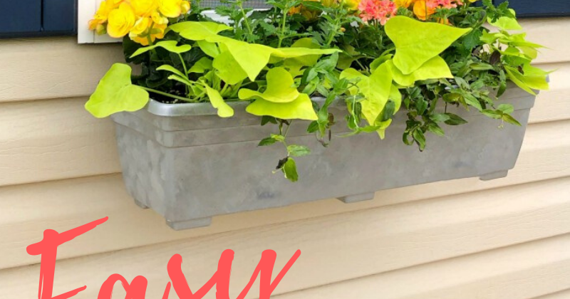 Painted Window Boxes | The Stonybrook House