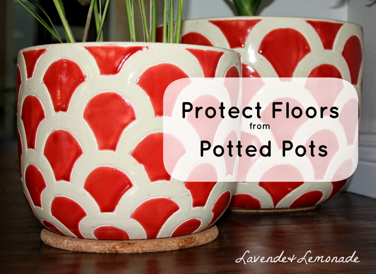 Use cork pads to protect floors from potted plants!