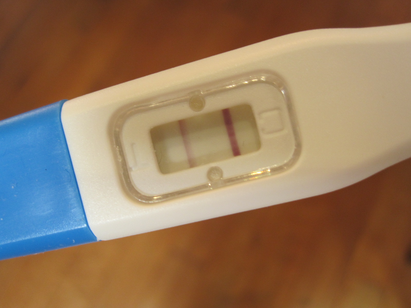 Vanessa's Victory How To Use Fertibella Tests