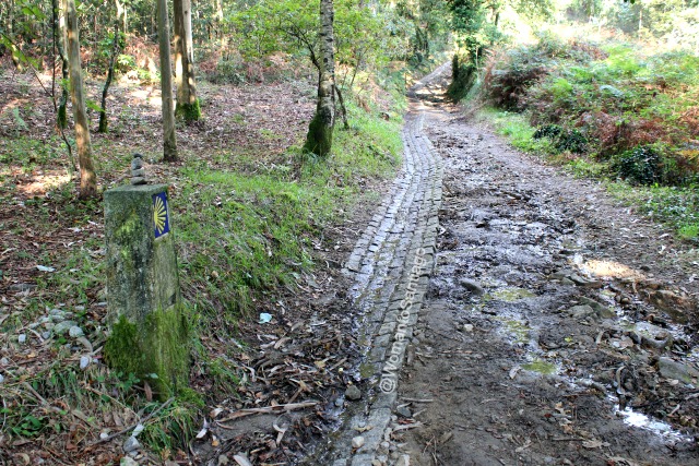 foto de mojon y calzada romana