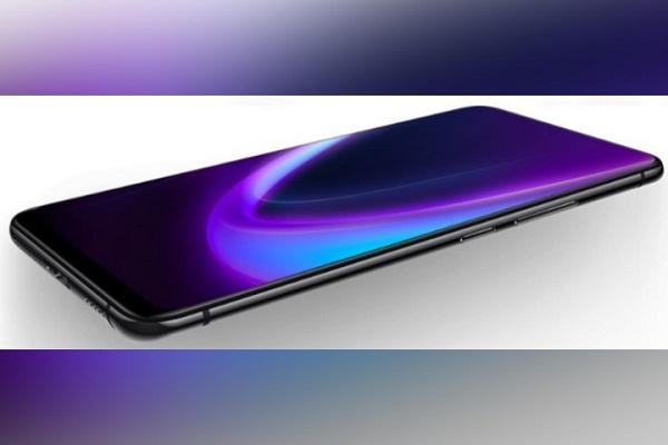 vivo vivo