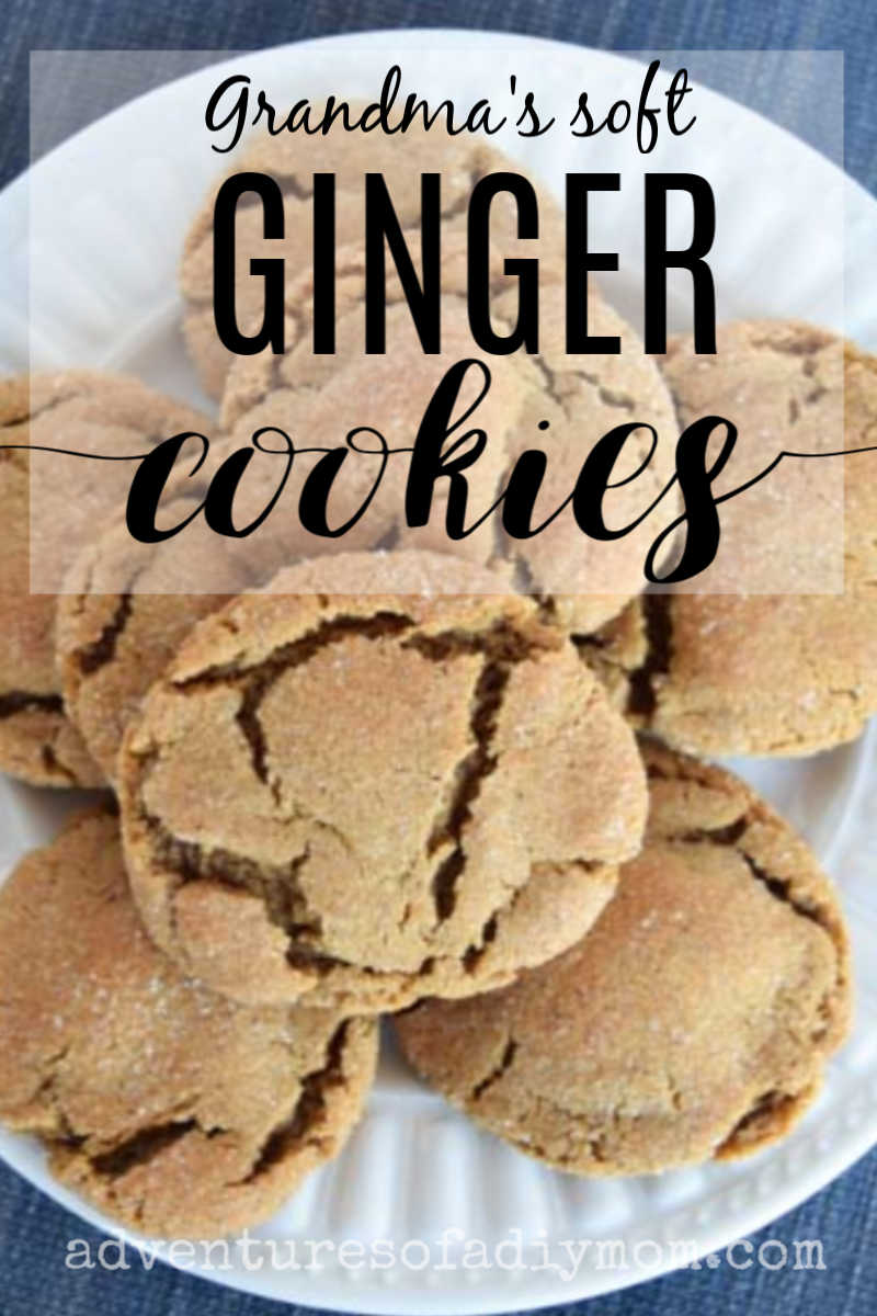 Ginger Snap Cookies Adventures of a DIY Mom