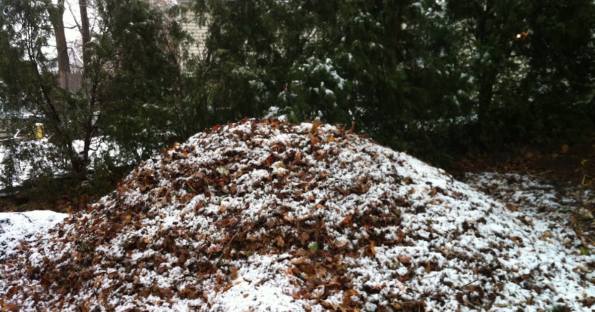 Confessions of a Composter Let Compost Hibernate