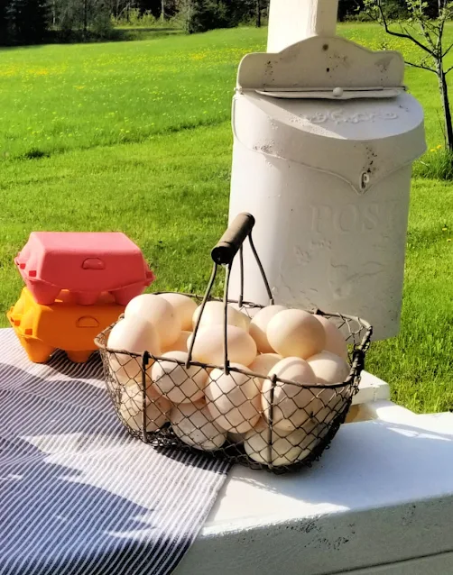 wire basket of eggs with colored egg cartons