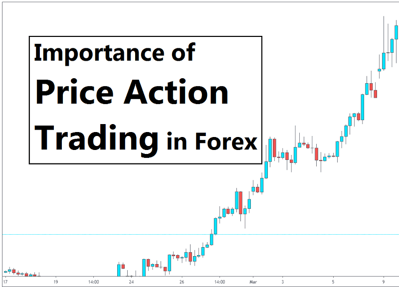 Importance of Price Action Trading in Forex