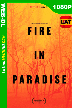 Paradise en llamas (2019) Latino HD WEB-DL 1080P ()