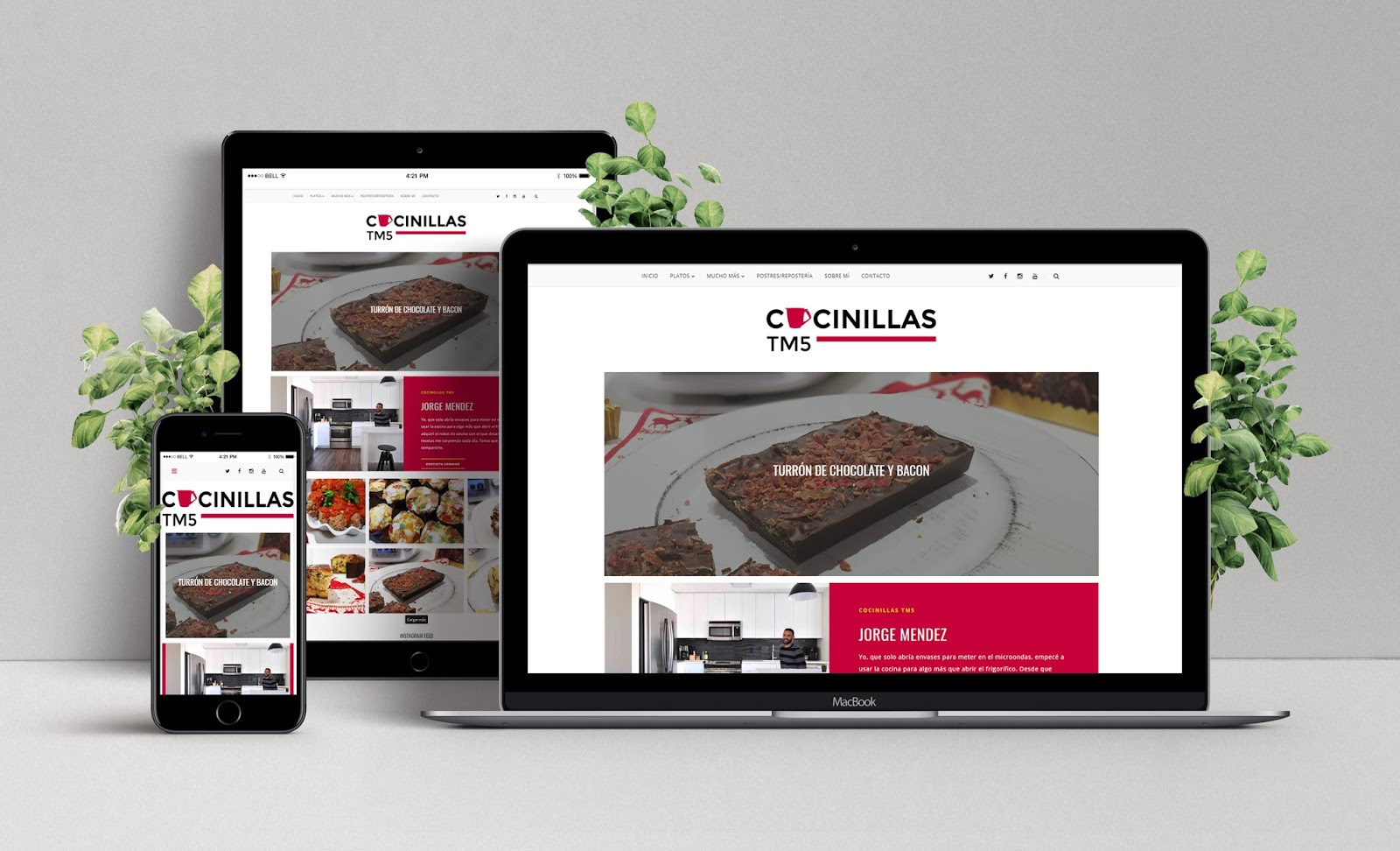 Diseño Web de CocinillasTM5