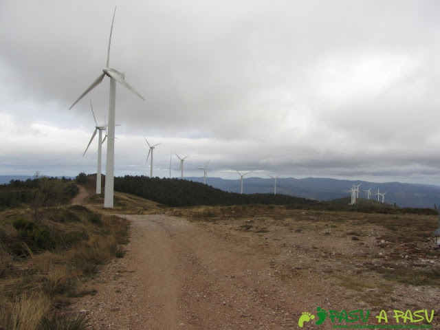 Bajando por la sierra de Piedras Apañadas