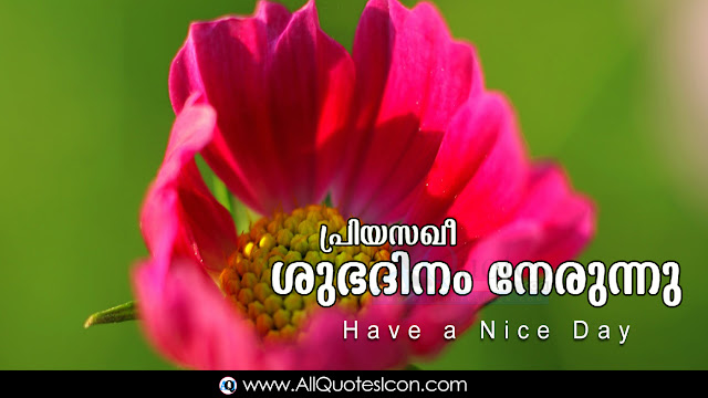 Malayalam-good-morning-quotes-wishes-for-Whatsapp-Life-Facebook-Images-Inspirational-Thoughts-Sayings-greetings-wallpapers-pictures-images