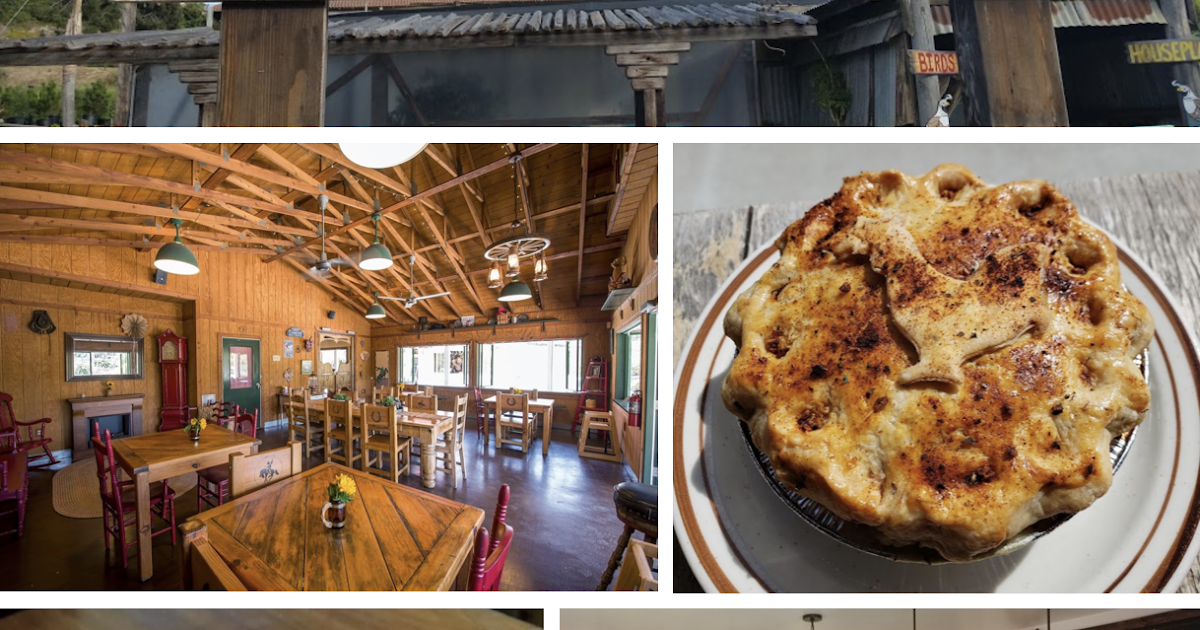 SanDiegoVille Betty's Pie Whole Saloon To Relocate In Encinitas