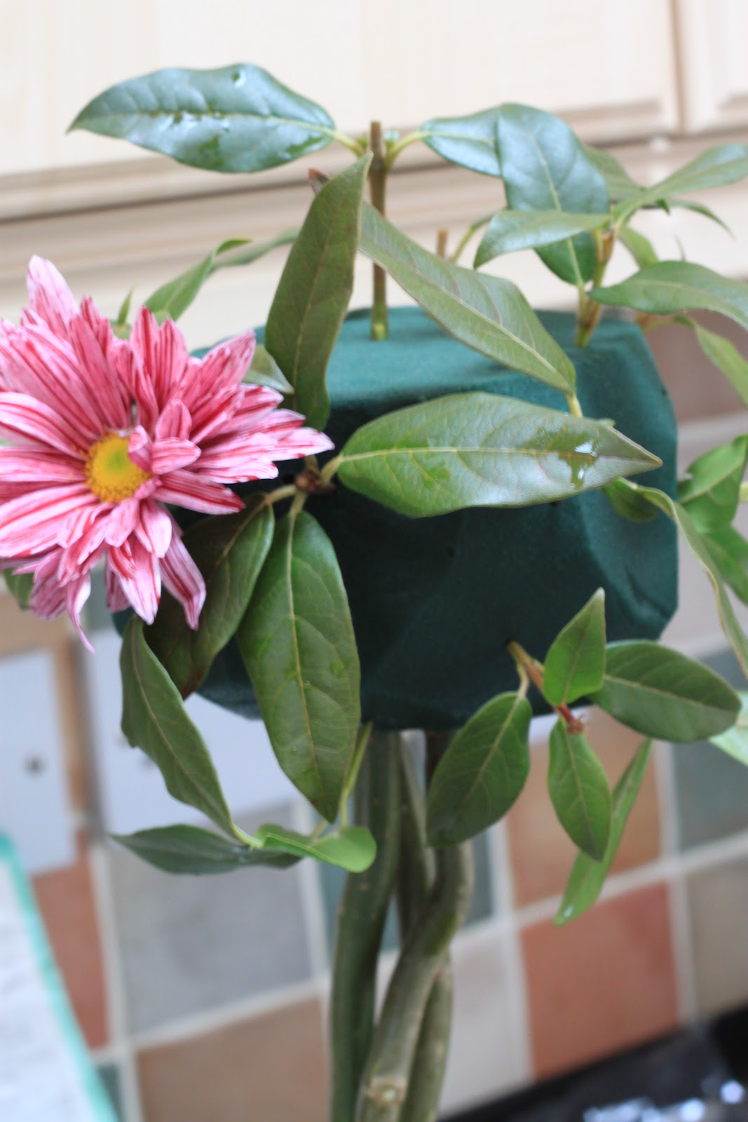 Water Lily Wishes DIY Crafts Flower Arranging