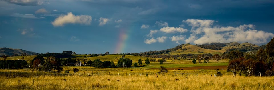 Songs from my grasslands