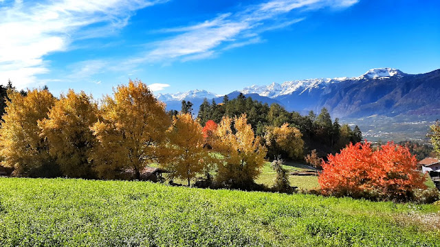 val di non foliage