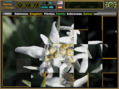 Play Edelweiss Puzzle