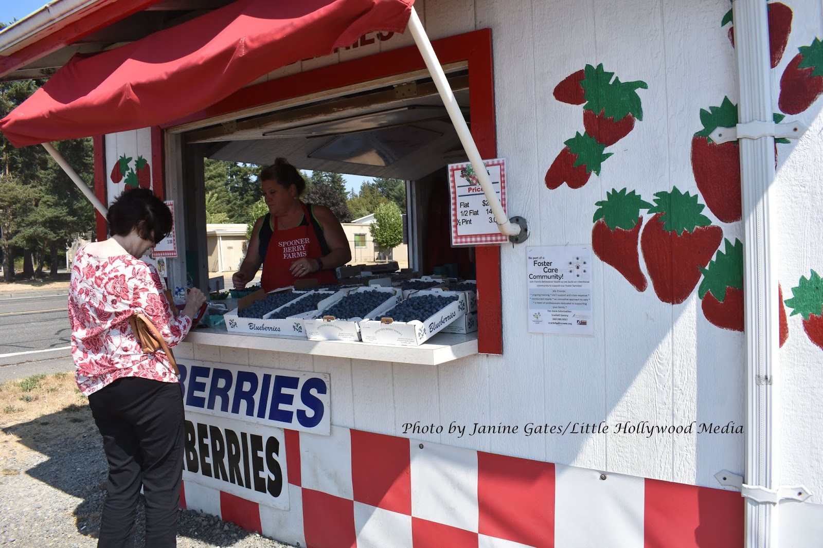 Little Hollywood Olympia To Consider Spooner Berry Farm Land Purchase