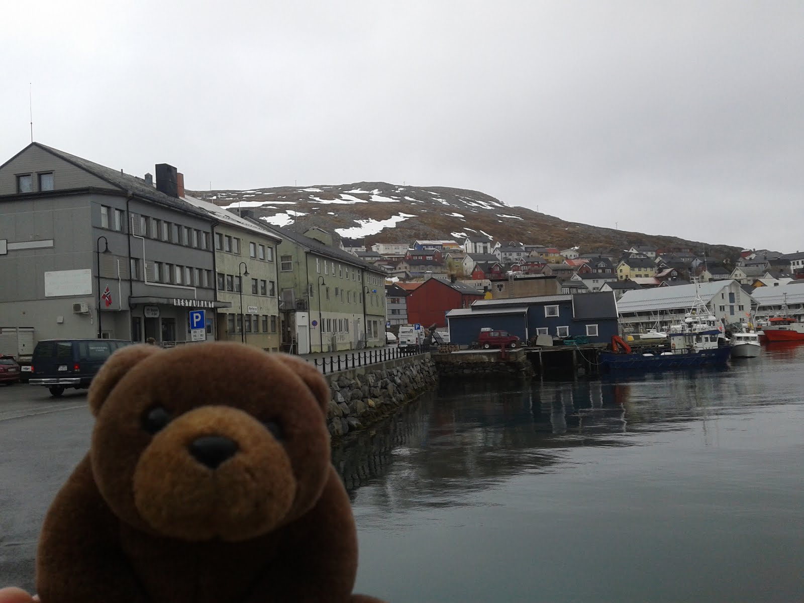 Teddy in Honningsvåg, top of Norway