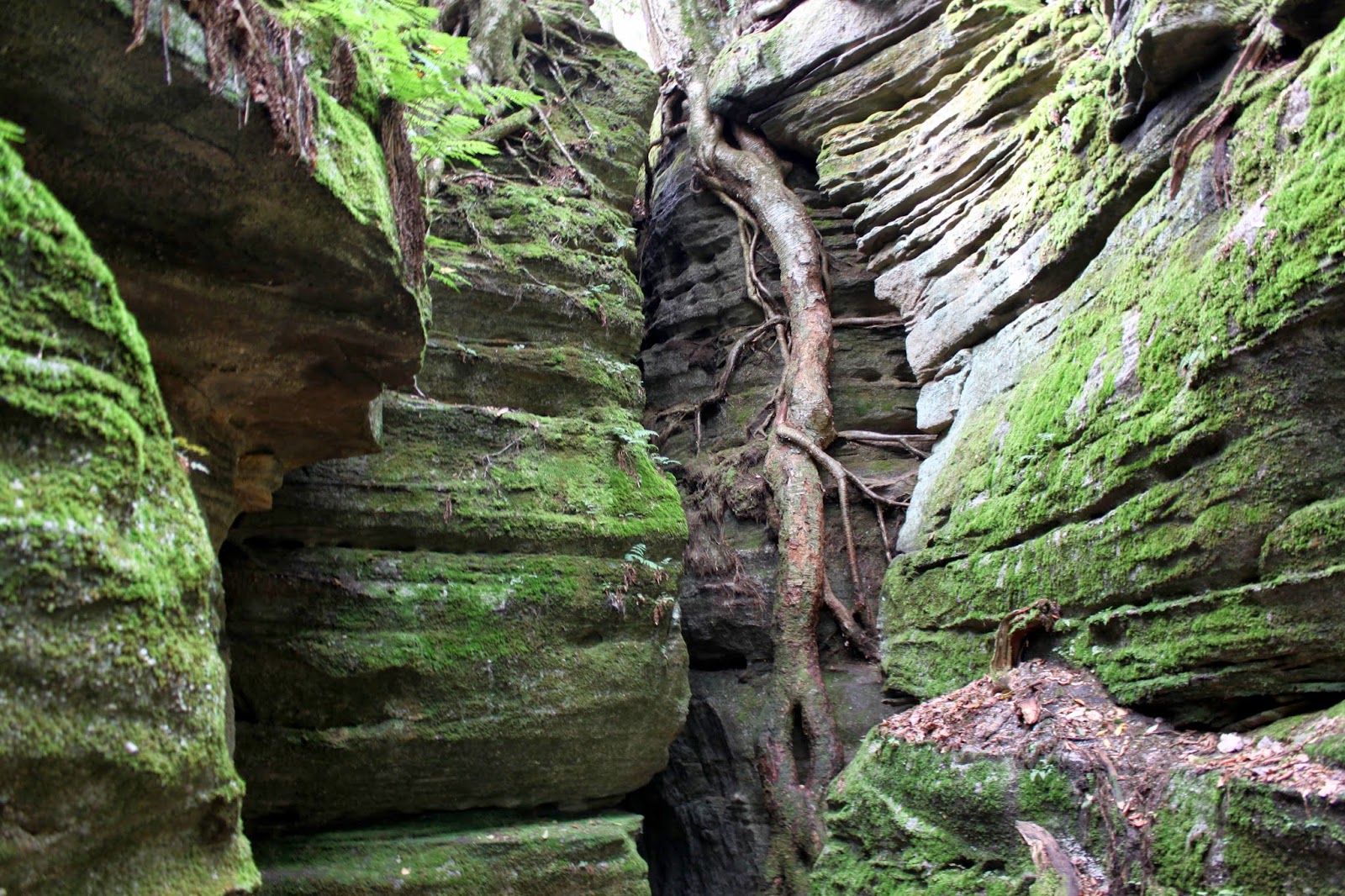 Cool Things Around ELO: Panama Rocks