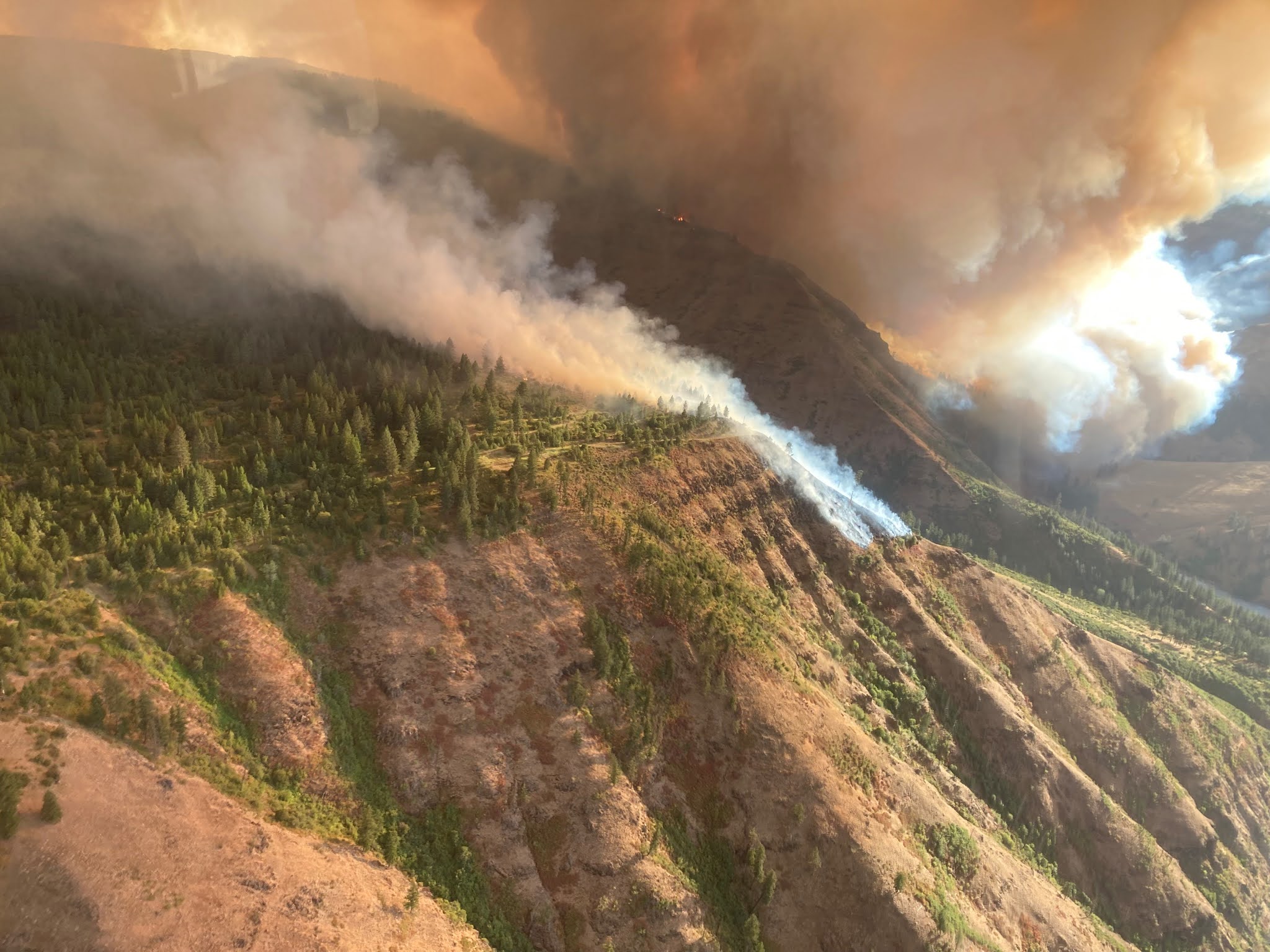 Blue Mountain Fire Information Elbow Creek Fire Update