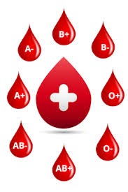 உடம்பை குறைக்க எந்த ரத்த பிரிவினர் எந்த உணவுகளை சாப்பிடலாம்?