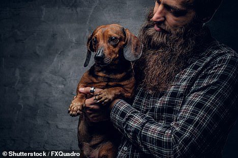 Râu của đàn ông còn 'bẩn' hơn lông chó, bạn có tin không?