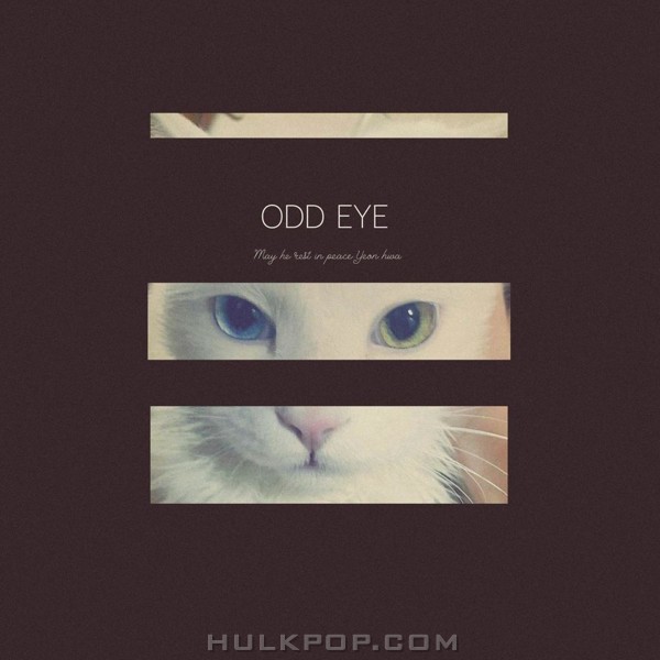 Yuppie – Odd Eye – Single