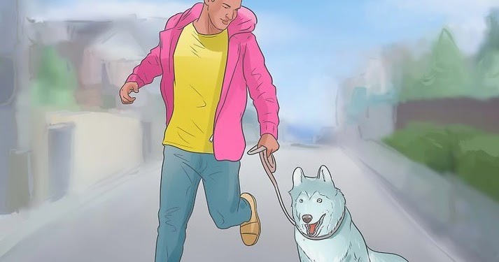 Comment Bien S Occuper D Un Husky Comment prendre soin d'un husky sibérien ~ HUSKY