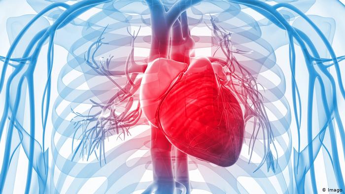 “Segura e eficaz” — Injeção de mRNA da COVID INTERROMPIDA em três países devido à inflamação do coração
