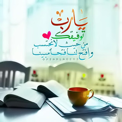 shof_b8952c1b2150e86